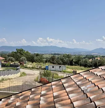 Foto annuncio 9