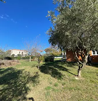 Foto annuncio 17