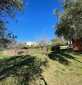 Foto annuncio 22