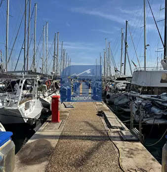 Foto annuncio 7