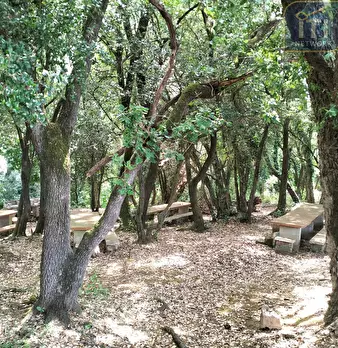 Foto annuncio 7