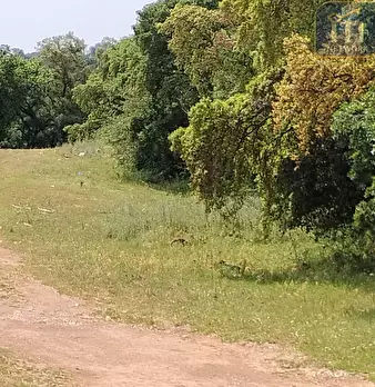 Foto annuncio 29