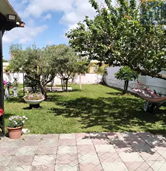 Foto annuncio 5