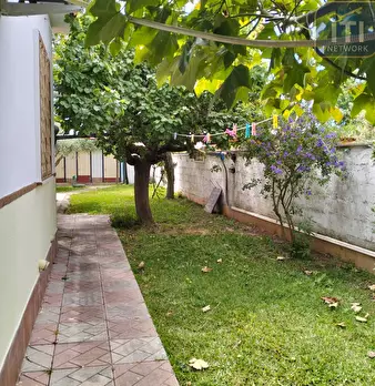Foto annuncio 45