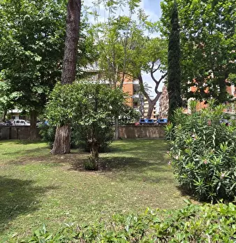 Foto annuncio 35