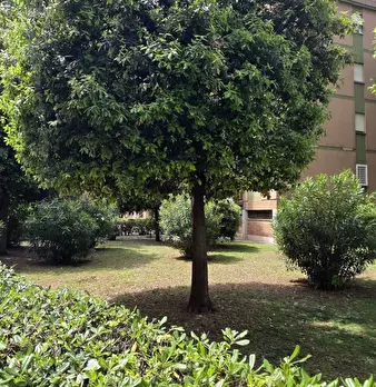 Foto annuncio 13