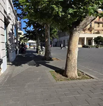 Foto annuncio 19