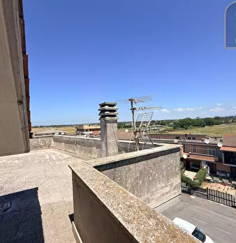 Foto annuncio 31