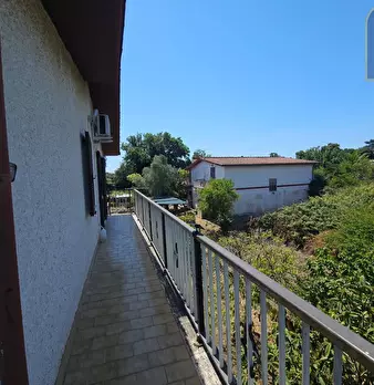 Foto annuncio 7