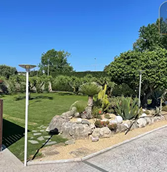 Foto annuncio 10