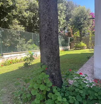 Foto annuncio 7
