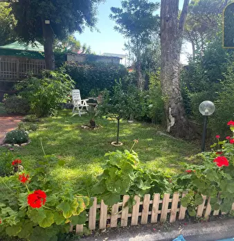 Foto annuncio 5