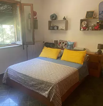 Foto annuncio 22