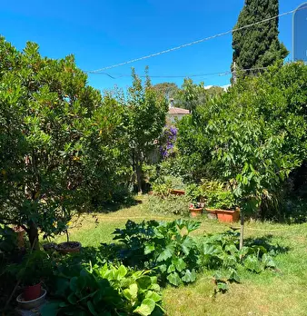 Foto annuncio 8