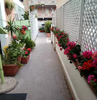 Foto annuncio 40