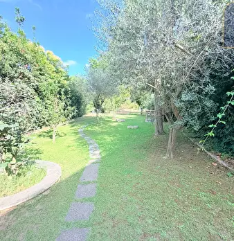 Foto annuncio 27