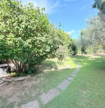 Foto annuncio 28