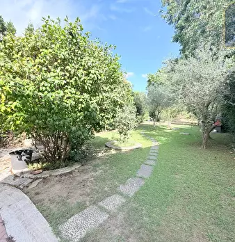 Foto annuncio 29