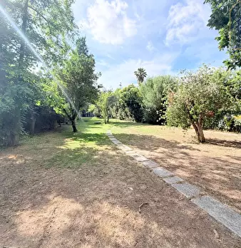Foto annuncio 38