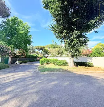 Foto annuncio 61