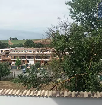 Foto annuncio 5