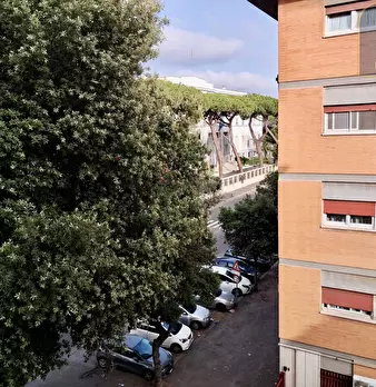 Foto annuncio 14