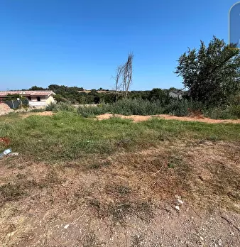 Foto annuncio 6