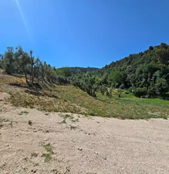 Foto annuncio 34
