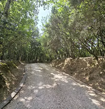 Foto annuncio 43