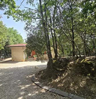 Foto annuncio 38
