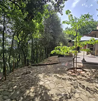 Foto annuncio 33