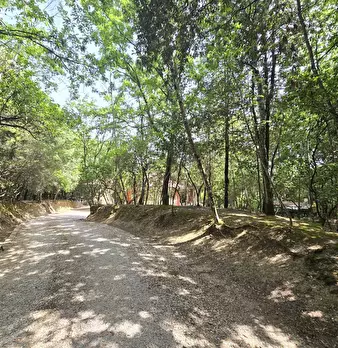Foto annuncio 40