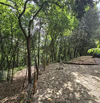 Foto annuncio 42