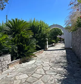Foto annuncio 3