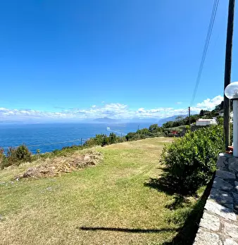Foto annuncio 11