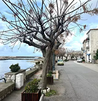 Foto annuncio 8