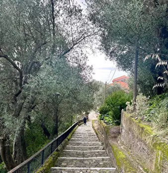 Foto annuncio 17