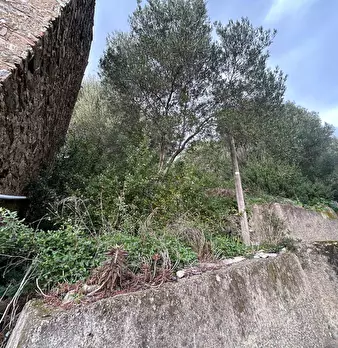 Foto annuncio 18