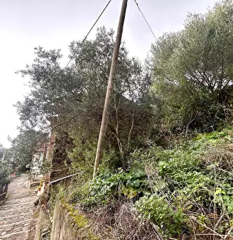 Foto annuncio 19