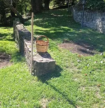 Foto annuncio 19