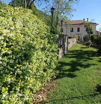 Foto annuncio 20