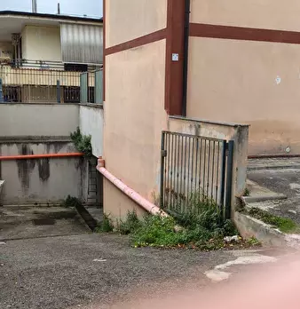Foto annuncio 6