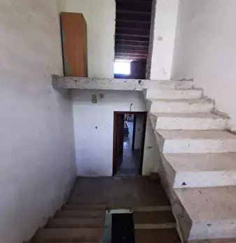 Foto annuncio 5