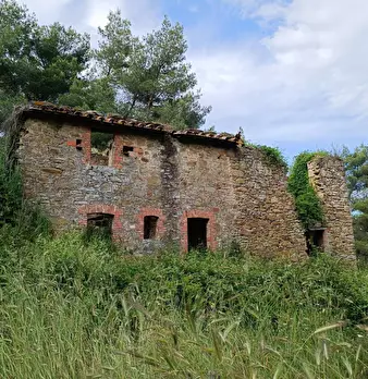 Foto annuncio 1