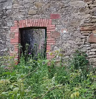 Foto annuncio 3