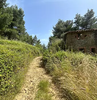 Foto annuncio 4
