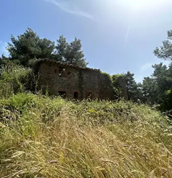 Foto annuncio 5