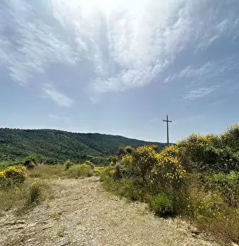 Foto annuncio 6
