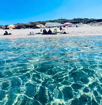 Foto annuncio 14