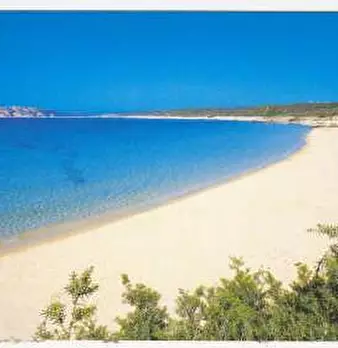 Foto annuncio 19
